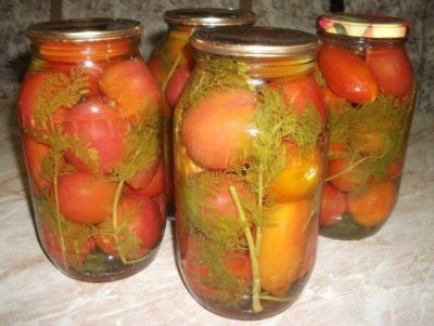 помидоры соленые в банках на зиму горячим способом