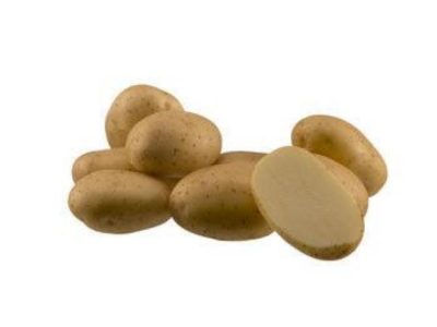 аризона сорт картофеля