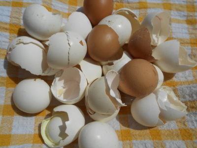 яичная скорлупа как удобрение как применять