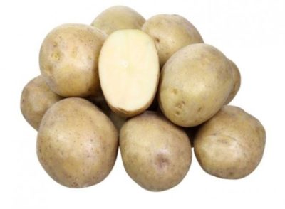 астерикс сорт картофеля