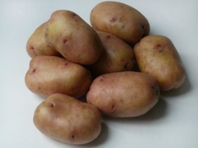 картофель дева описание сорта