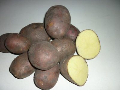 пароли сорт картофеля