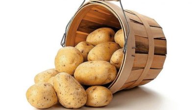 как хранить картофель в квартире