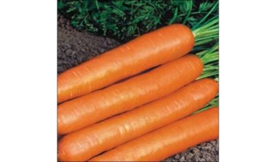 сладкие сорта моркови