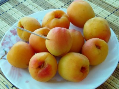варенье из абрикос с яблоками