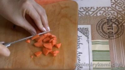 семена моркови на туалетной бумаге