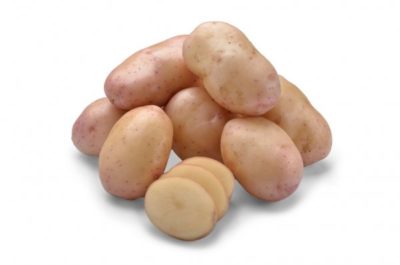 сорт картофеля мелодия
