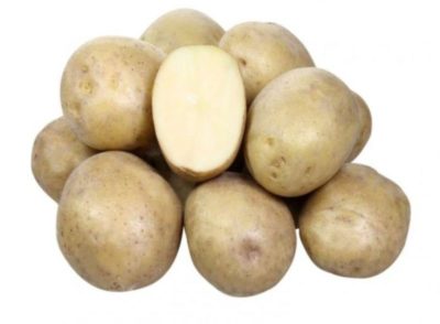 картофель 40 дневка сорта