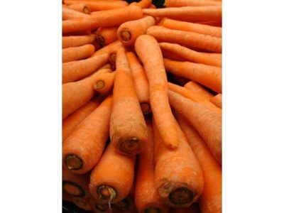 уход за морковью в августе