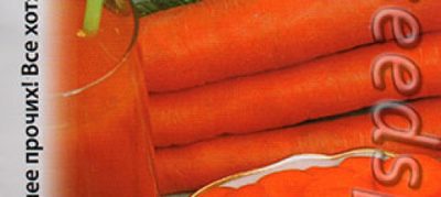семена моркови на туалетной бумаге