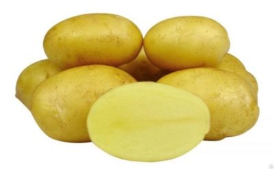 алладин сорт картофеля