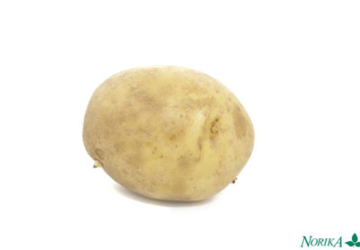 адретта сорт картофеля