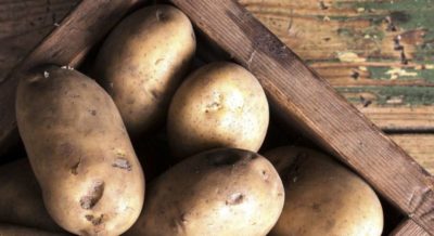 суперранние сорта картофеля