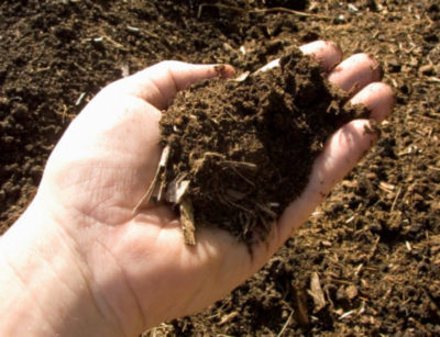 удобрения для кислых почв
