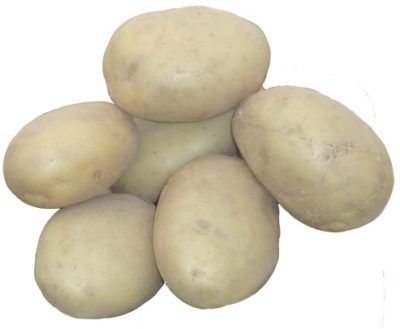 сорт картофеля бриз
