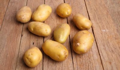 картофель дева описание сорта