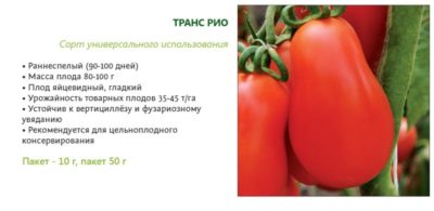 томат рио гранде описание сорта